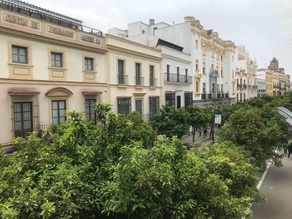 赫雷斯Apartamento Centro Jerez公寓 外观 照片